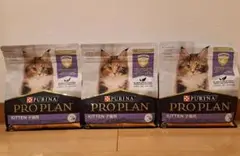 Item thumbnail for item eb2cc79a-64d2-40b5-800c-308d987170ad