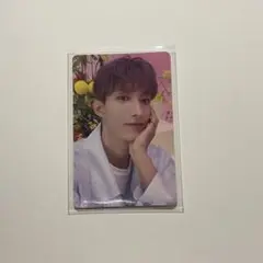 SEVENTEEN ALWAYS YOURS ドギョム トレカ 通常盤