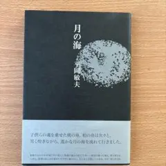 月の海 平岡敏夫