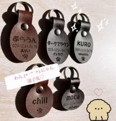 Item thumbnail for item fa753310-e01f-49b3-bd6c-ea5ed070668b
