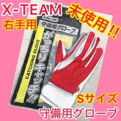 ⭐️未使用⭐️ X-TEAM ゼビオ 守備用グローブ 右手用 Sサイズ