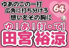 日本ハムファイターズ　田宮裕涼　応援ボード