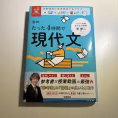 宗のたった4時間で現代文