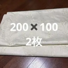 ニトリ 遮熱・遮音・遮光ドレープカーテン 100x200cm 2枚　ミスト3