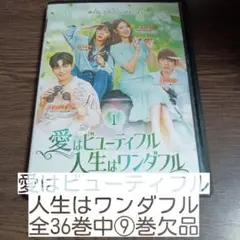 愛はビューティフル 人生はワンダフル 　全36巻中9巻欠品　レンタル落ち