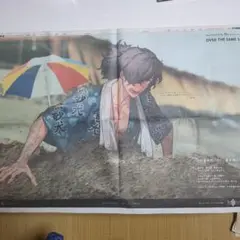新聞　広告