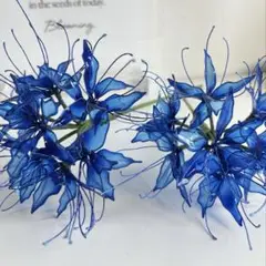 アメリカンフラワー♧青い彼岸花w