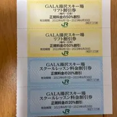 送料込!ガーラ湯沢スキー場リフト割引券2枚