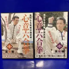 【中国武術名著】戴氏心意六合拳技撃精要　王映海監修　王喜成　袁天輝著＃形意拳 中国武術】戴氏心意六合拳 技撃精要 王映海監修 王喜成 袁天輝著