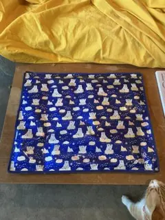 Item thumbnail for item 91fb7d66-a912-4916-a897-fb2bcb68931c