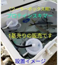 プロテインスキマー　ベンチュリー式 2台　水中ポンプ　ヤエン釣り　釣り　イカ釣り 楽天市場】プロテインスキマー ベンチュリー式 2台 水中ポンプ