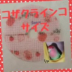 Item thumbnail for item 2692776d-dee2-4256-82c6-8e70fd0699de
