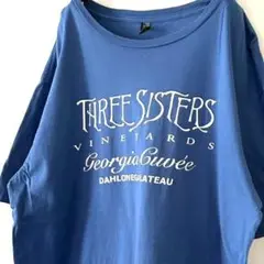 ディストリクトメイド スリーシスターズ ワイン TシャツL くすみブルー青古着