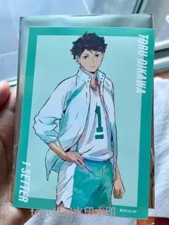 大名 トレーディングカード 1セッター