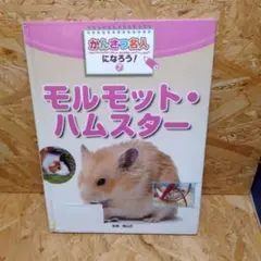 かんさつ名人になろう! 7 (モルモット・ハムスター)