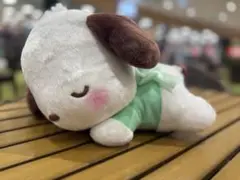 ポチャッコ　おひるねベビーBIGぬいぐるみ