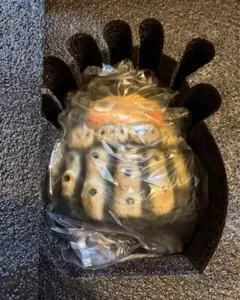 羅本製所 Copiapoa Daruma Monster フィギュア robin