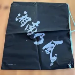 湘南乃風　非売品　ビニールバッグ　アルバム特典だったはず