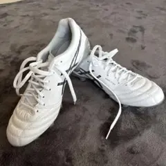 asics x-Fly5 (ホワイト)25cm