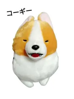 いち！にの！コーギー【新作】ただいま  STセット いち！にの！コーギー【新作】ただいま STセット