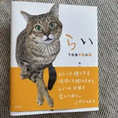 らい　下半身付随の猫