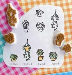 多肉植物　観葉植物✩ 小さめ消しゴムはんこ