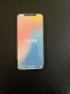 Apple iPhone 12 Pro Max グラファイト SIMフリー