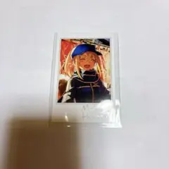 FGO ポートレイトコレクション 謎のヒロインX