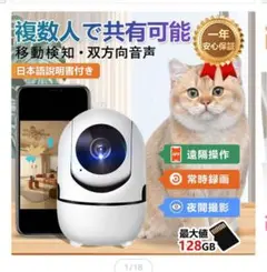 Item thumbnail for item 3dfee762-691e-4b4e-93f5-d990442d5909