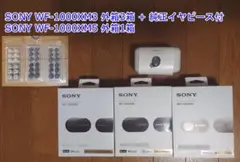 Item thumbnail for item 577717b6-1b54-4090-81e0-ff2775da6b9f