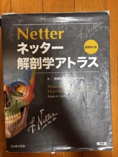 ネッター 解剖アトラス　第6版 ネッター解剖学アトラス原書第6版 | F.H.Netter, 相磯貞和 |本