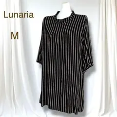 Item thumbnail for item aaf17ed8-e538-4bc2-9db6-0dd91beb825e