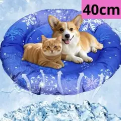 Item thumbnail for item af3088bf-7e6b-4f09-9e4a-5b9073322156
