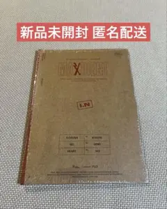 【新品未開封】Stray Kids アイエン maxident case ver