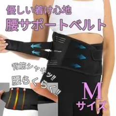Item thumbnail for item ba5d785d-9b9e-4a3b-b8f1-6ccc3b1e3c72