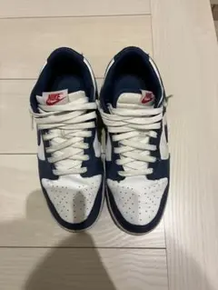 Nike ダンク バレリアンブルー