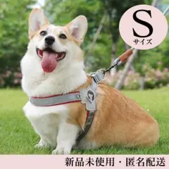 Item thumbnail for item eb525150-4fd7-4a43-b4f5-5841f40fd8ca