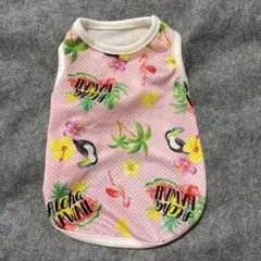 Item thumbnail for item 7ce2c9fe-d338-4288-ac8d-a9d8e511bacd