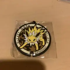 サンダース　ポケフタ