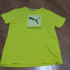 PUMA FOREVER FASTER Tシャツ 150サイズ