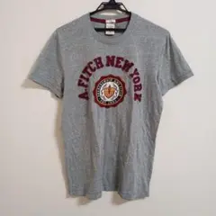 アバクロンビーアンドフィッチ/ 半袖 Tシャツ S ダメージ加工 ワッペン ロゴ