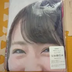 向井地美音　AKB48 両面抱き枕カバー160cm×50cm 新品未使用