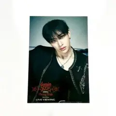 Stray Kids dominATE ライブビューイング　入場特典　バンチャン