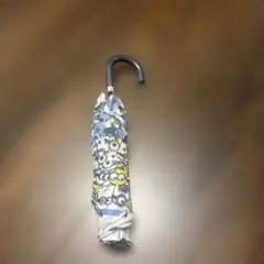 Item thumbnail for item 46327c87-c8e3-4062-82fc-cfebfd74e699