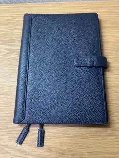 Item thumbnail for item a49137de-d7aa-4992-bc1d-affa09c86a34