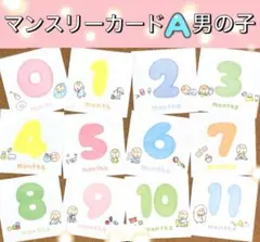 マンスリーカード A男の子　ましかくアルバム　アルバス　月齢カード