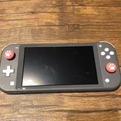 Nintendo Switch NINTENDO SWITCH LITE グレー