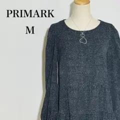 Item thumbnail for item 4a3709c5-f8b1-4c03-bd3b-072352154449