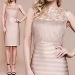 TADASHI SHOJI 刺繍付シャーヨークピンタックドレス