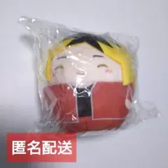 ハイキュー 孤爪研磨 ふわコロりん スペシャル